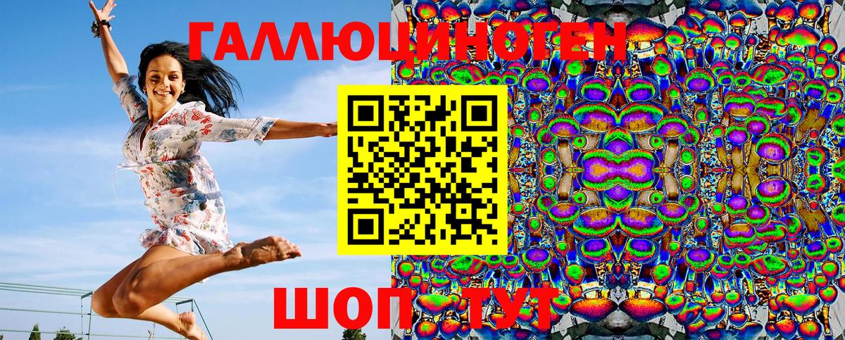 Псилоцибиновые грибы Psilocybe Южноуральск