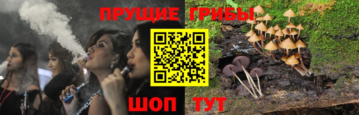 Южноуральск  Псилоцибиновые грибы Psilocybe  Вход с VPN 